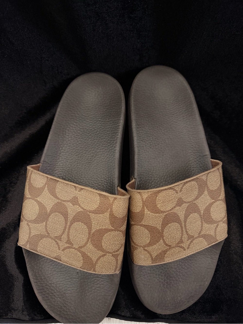 Coach Signature Canvas Slide Sandals in Brown and Black